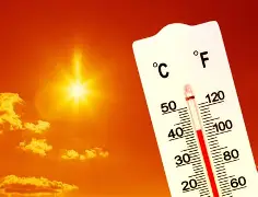 热传：孙颖莎谁能执教11冠王的简单介绍|